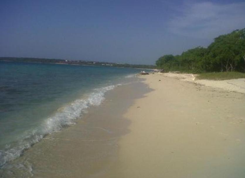 Beach Photo