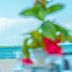 Best Western Jangwani Sea Breeze Hotel in Dar Es Salaam beachfront with thatched umbrella and ocean view