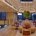 City Lodge Hotel Victoria and Alfred Waterfront in Cape Town lobby with curved seating and hanging greenery