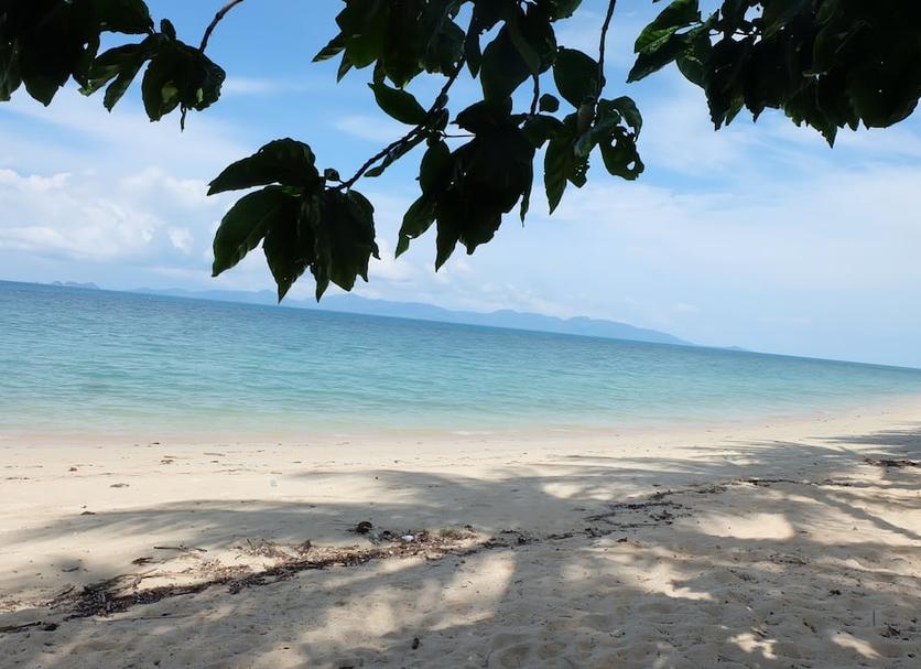Beach Photo