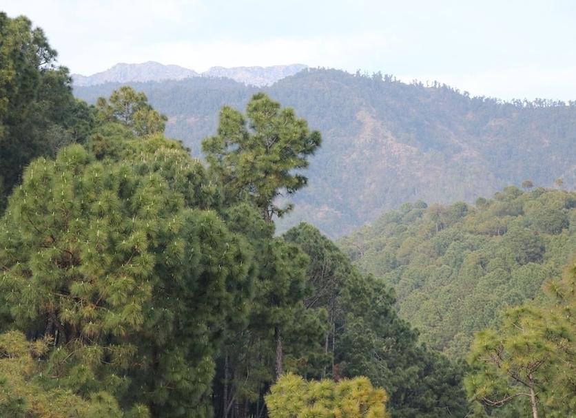 Outdoors view Photo