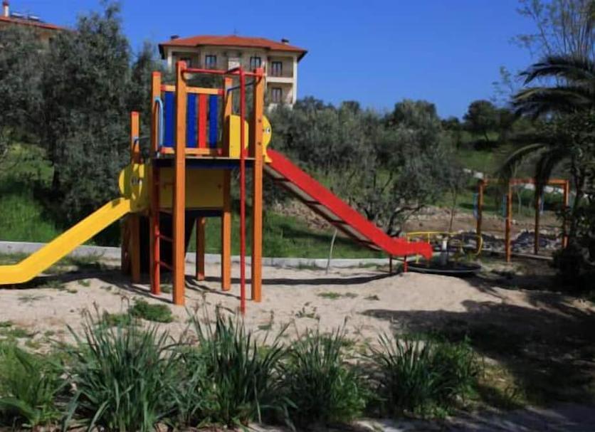 Other Photo