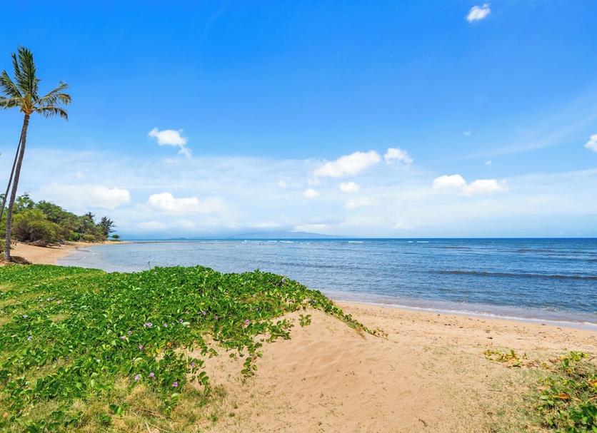 Beach Photo