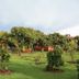 Huerta Real Mazamitla in Mazamitla with landscaped garden and tree-lined cabins