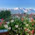 Outdoors view