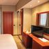 Rizzi Aquacharme Hotel & Spa room in Darfo Boario Terme with bed, TV, wardrobe and window