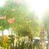 Outdoors view