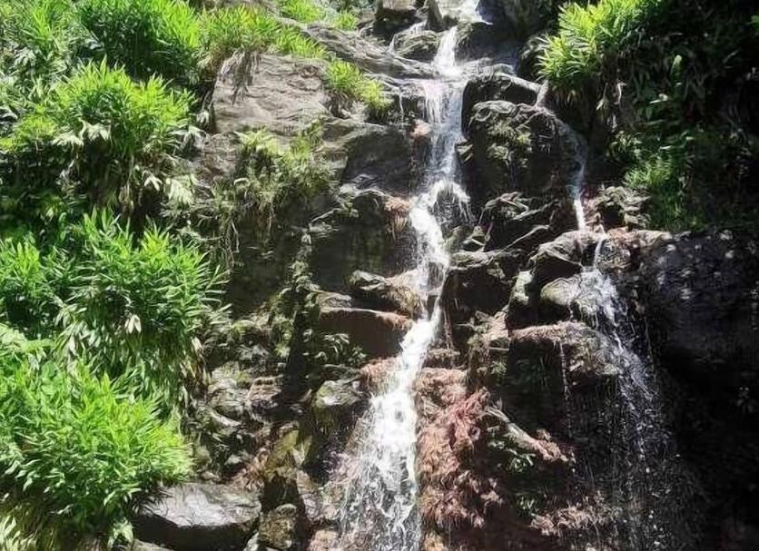 Other Photo
