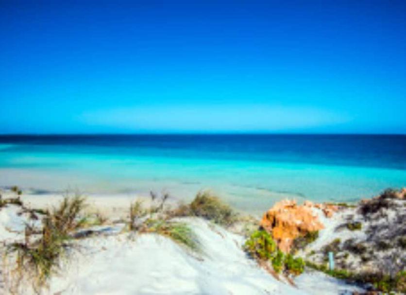 Beach Photo