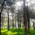 Outdoors view