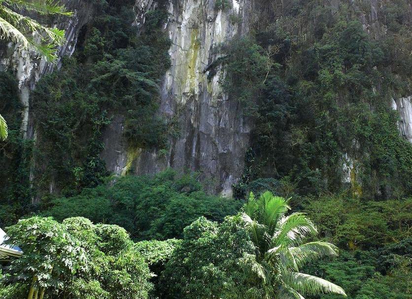 Other Photo