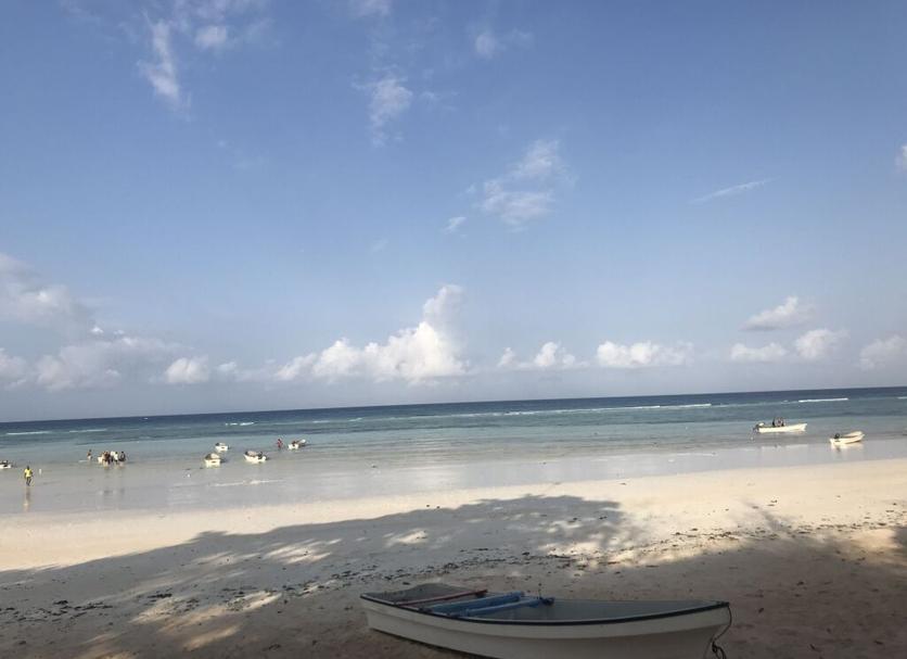 Beach Photo