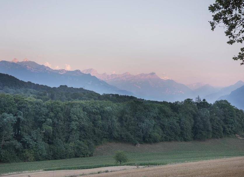 Outdoors view Photo