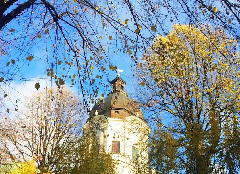 Other Photo