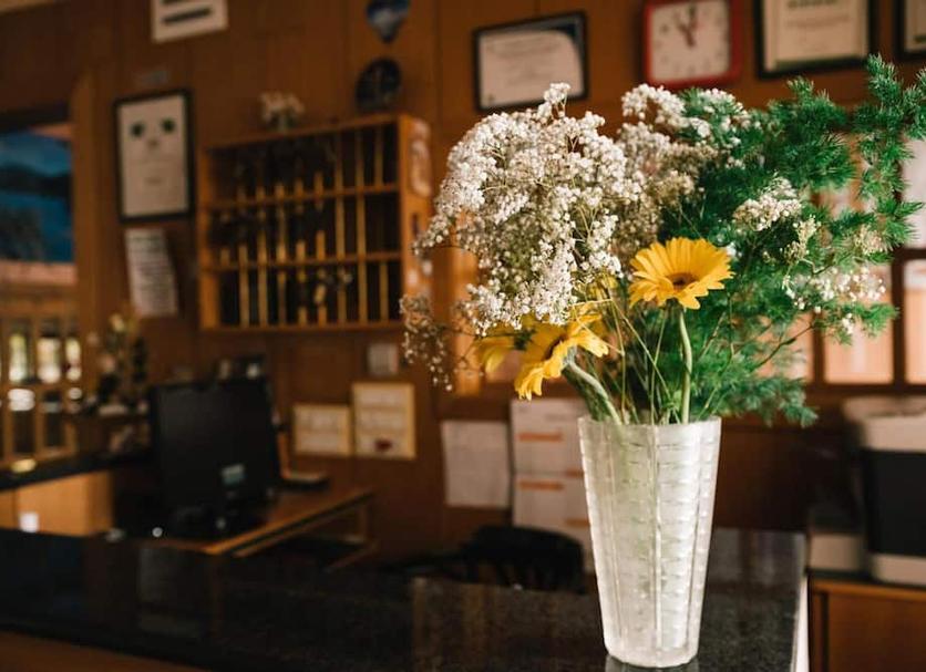 Room amenity Photo