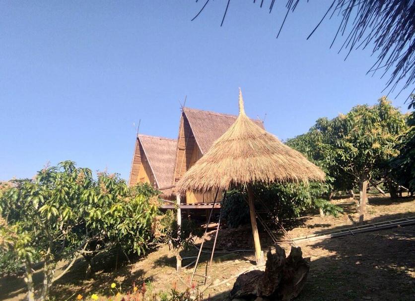 Other Photo