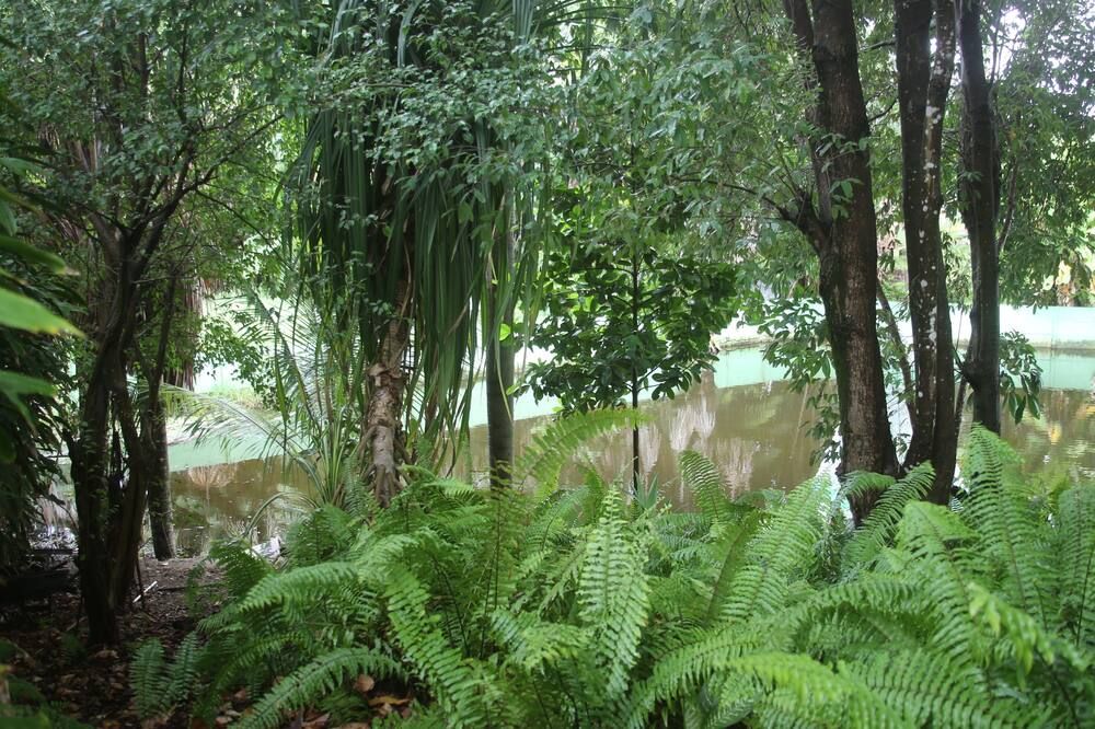 Outdoors view