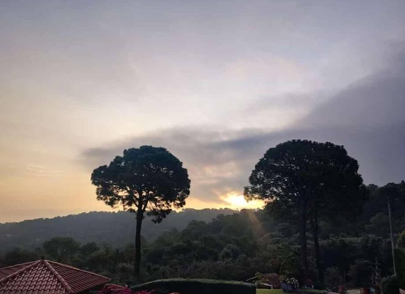 Outdoors view Photo