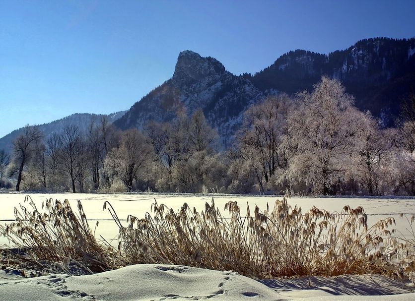 Landhotel zum Metzgerwirt in Bad Bayersoien with snowy field, frosted trees and mountain backdrop