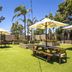 Nightcap at the Charles Hotel, Wollongong: sunny outdoor lawn with picnic tables, umbrellas and palm trees