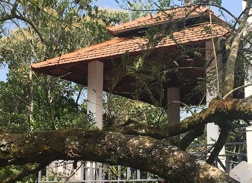 Outdoors view Photo