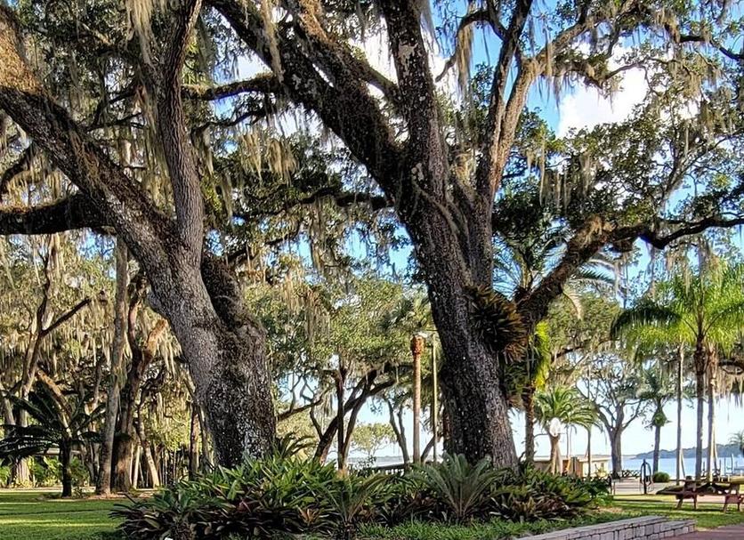 Outdoors view Photo