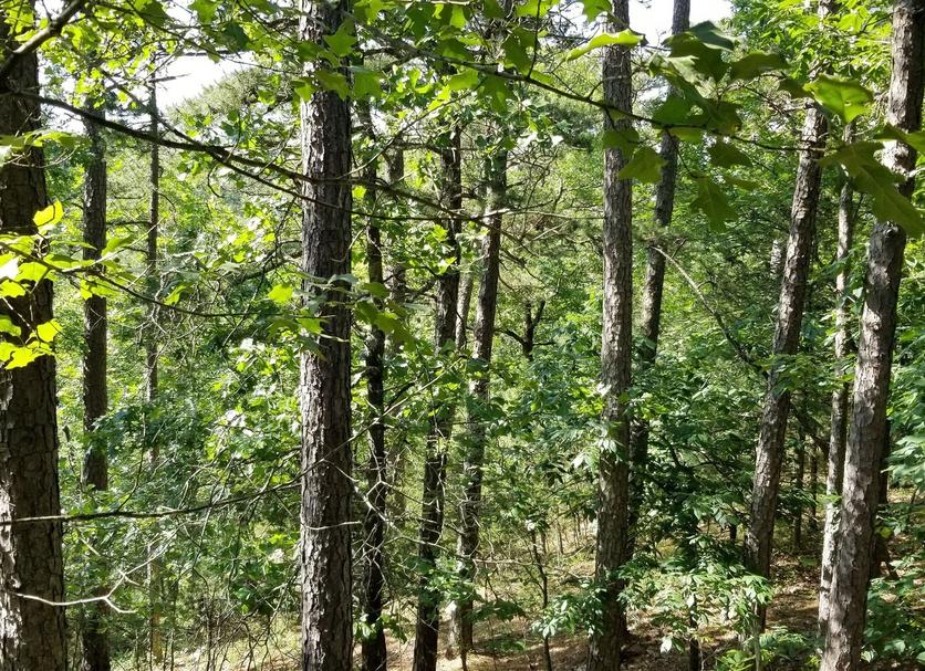 Outdoors view Photo