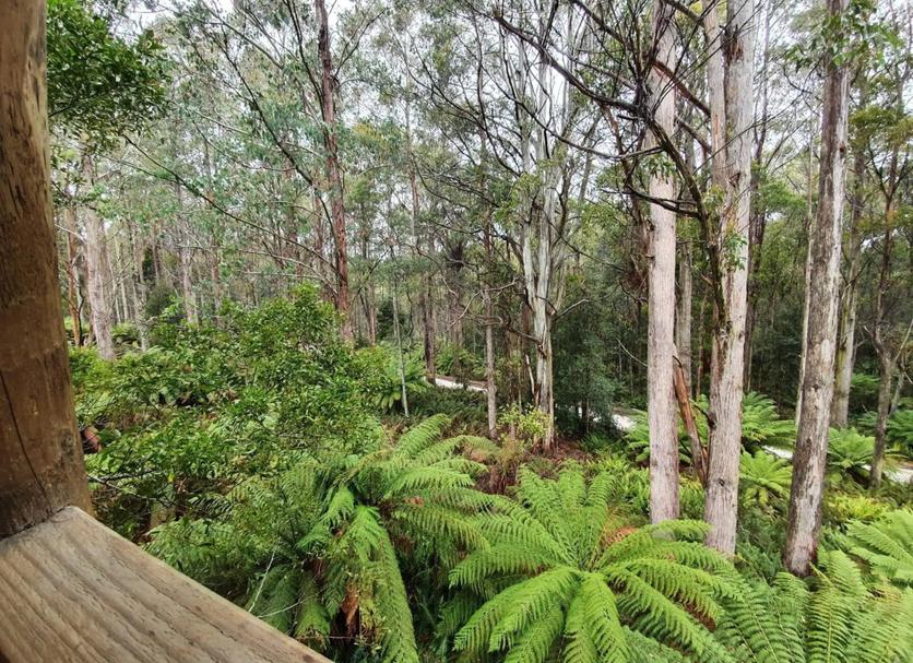 Outdoors view Photo
