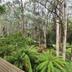 Outdoors view