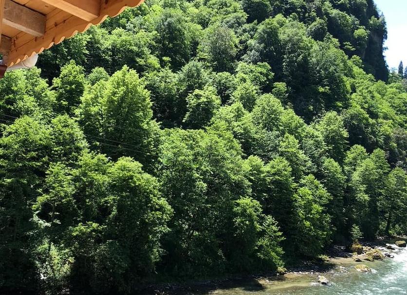 Outdoors view Photo
