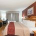 Red Roof Inn & Suites Stafford, VA - Quantico room with king bed, TV, desk and window seating in Stafford