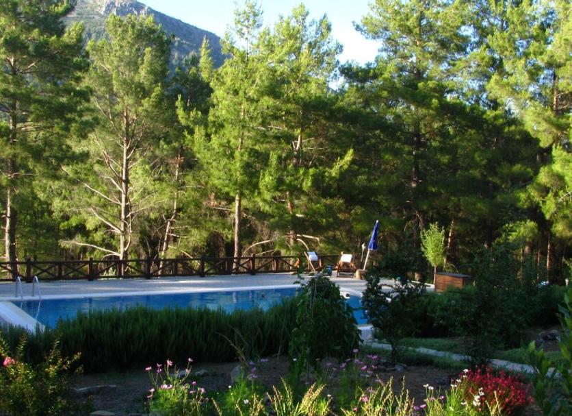 Other Photo
