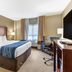 Comfort Inn Aikens Center in Martinsburg guest room with king bed, desk, chair, and window view