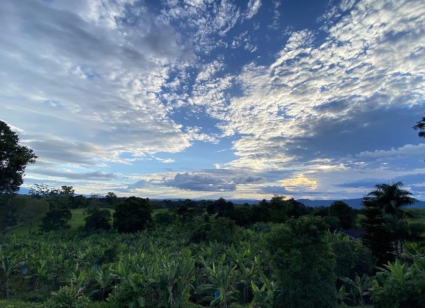 Outdoors view Photo