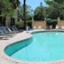 La Quinta Inn & Suites by Wyndham Sarasota Downtown pool with lounge chairs in Sarasota