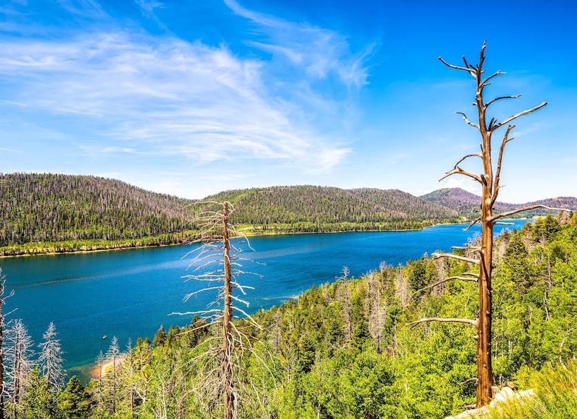Outdoors view Photo