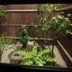 Outdoors view