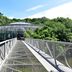Pestana Curitiba in Curitiba, glass-domed bridge walkway amid lush greenery