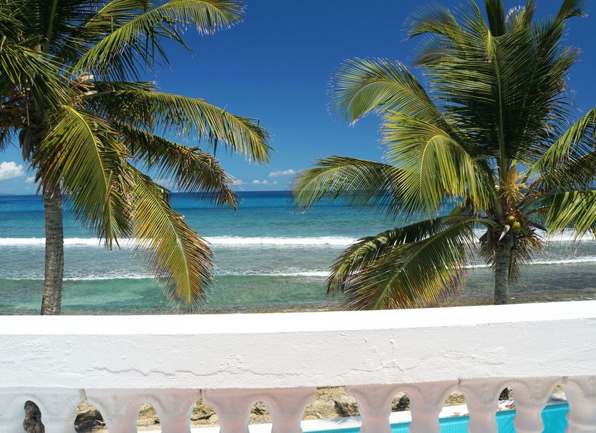 Bravo Beach Hotel in Vieques with palm trees, ocean view, and poolside terrace