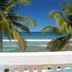 Bravo Beach Hotel in Vieques with palm trees, ocean view, and poolside terrace