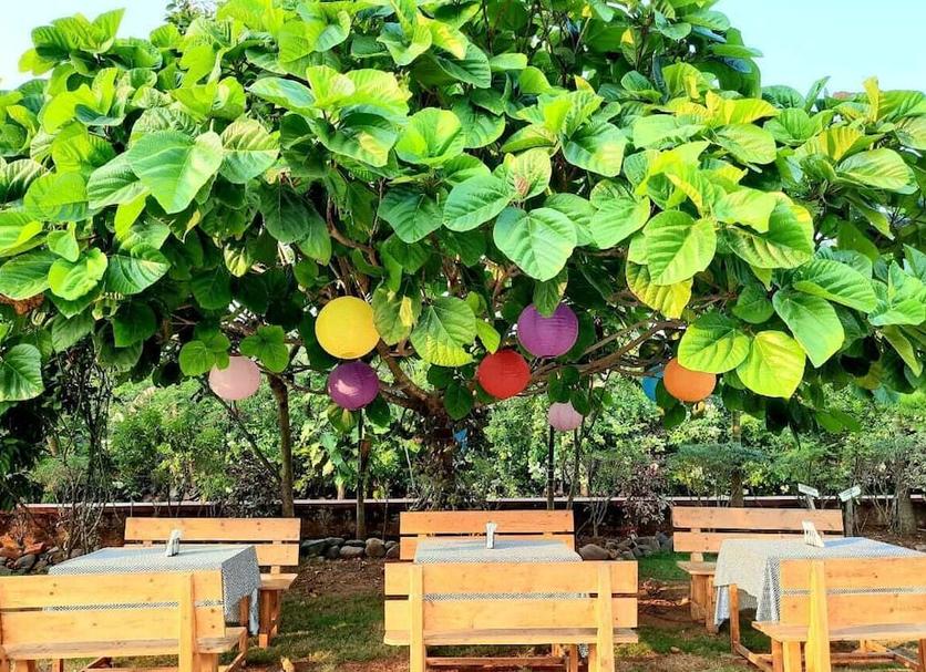 Outdoors view Photo