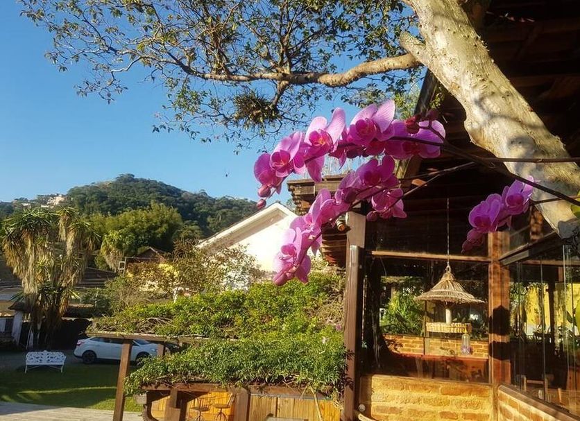 Pousada 14 Bis in Petrópolis with pink orchids beside a rustic garden patio and gazebo