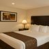 Boarders Inn & Suites by Cobblestone Hotels - Ashland City guest room with king bed and bedside lamps