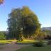 Outdoors view