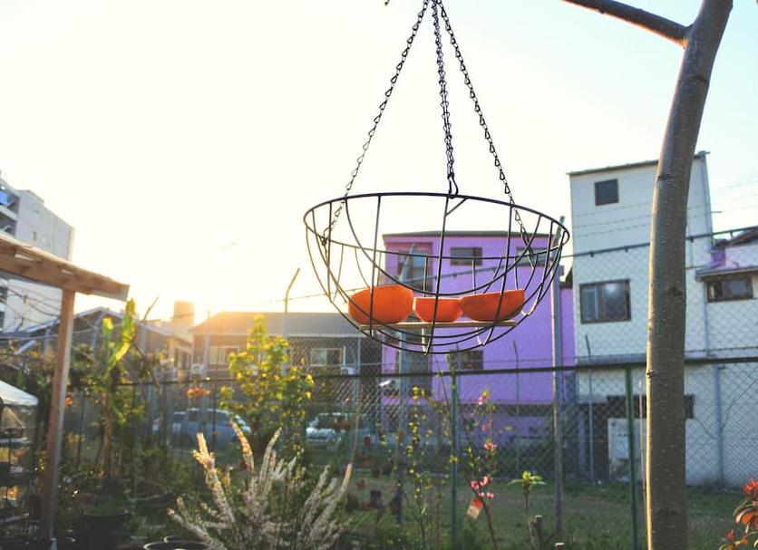 Outdoors view Photo