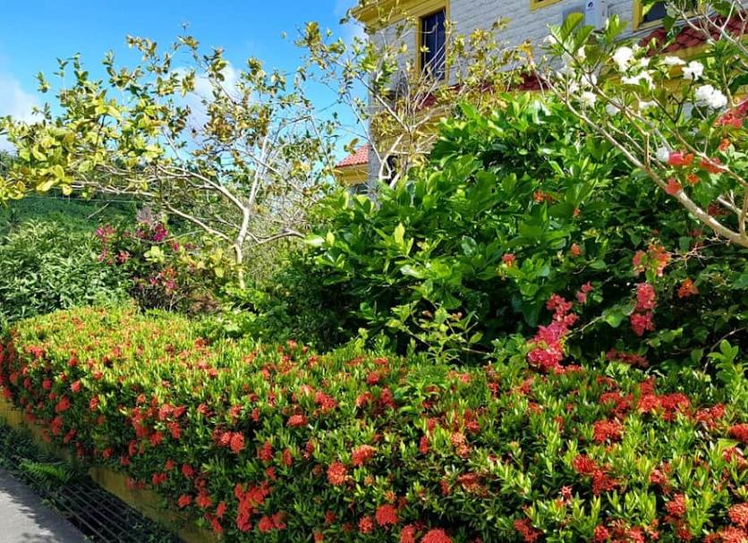 Outdoors view Photo