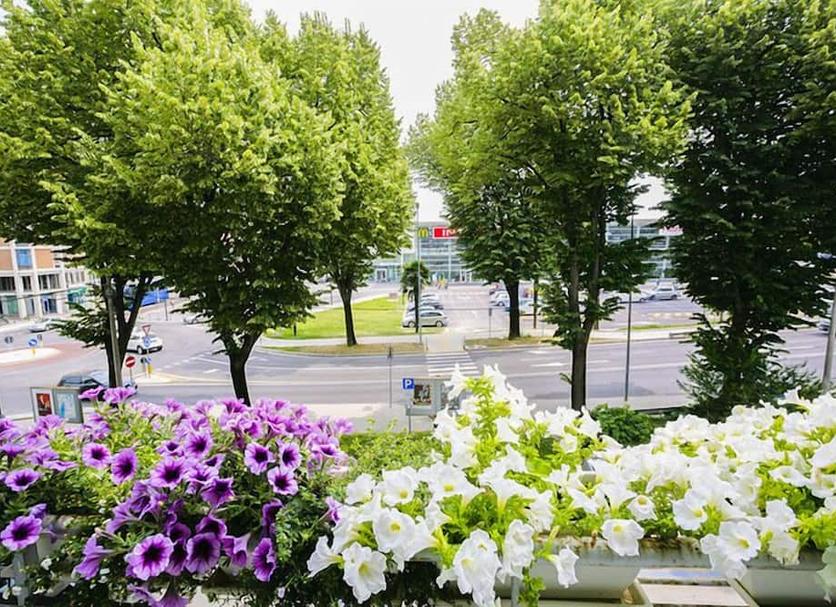 Outdoors view Photo