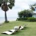 Hua Plee Lazy Beach Hotel in Hua Hin with beachfront lawn loungers and palm tree by the sea