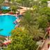 VOGO Abu Dhabi Golf Resort & Spa pool surrounded by palm trees in Abu Dhabi