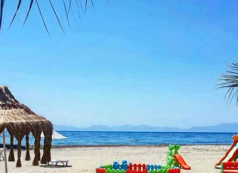 Beach Photo